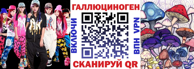Псилоцибиновые грибы Psilocybine cubensis  Жирновск 